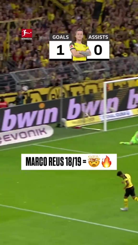 回忆杀！罗伊斯18/19赛季德甲快速回顾！精彩的一个赛季！